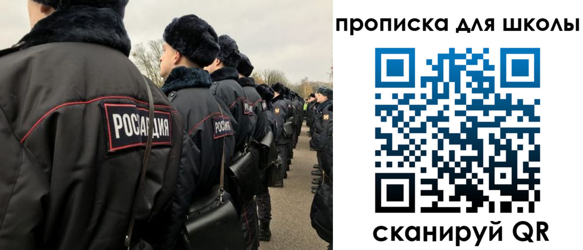 где прописаться в Мурино